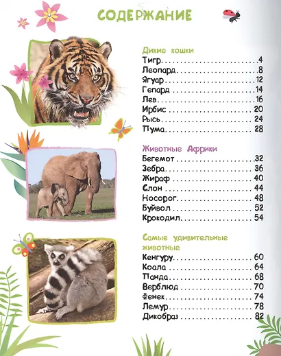 Энциклопедия животных для малышей (нов.) - фото 2