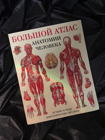 Большой атлас анатомии человека(в табл) - фото 4