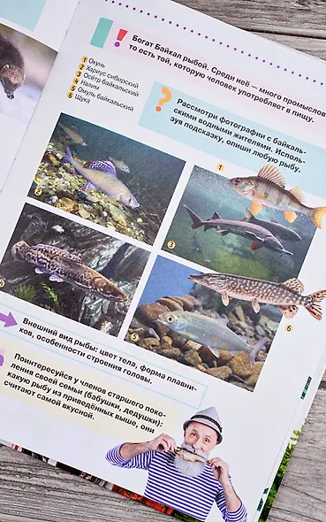 Разговоры о важном для дошкольников - фото 14