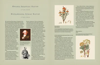 Ботаника для садоводов - фото 9