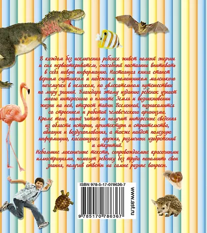 Первая книга любознательных малышей. Что? Зачем? Почему? - фото 2