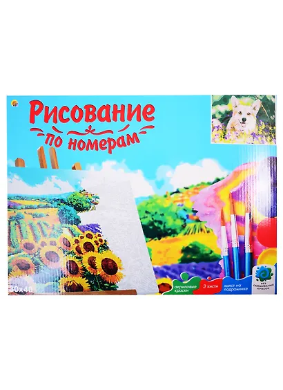 Набор д/творчества Рыжий кот Холст с красками 30х40см по номерам (в коробке) (20цв.) Корги в траве Х-2917 - фото 2