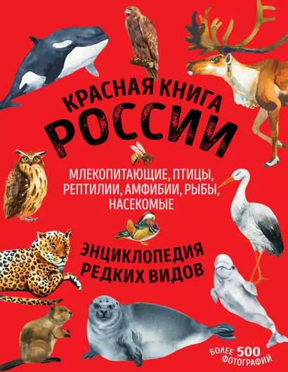 Красная книга России: животные, растения, птицы, насекомые. Энциклопедия редких видов - фото 1