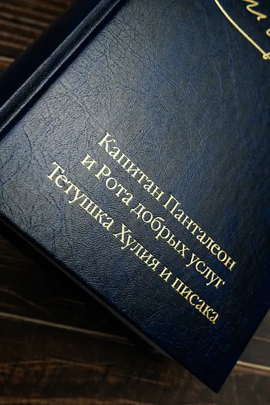Капитан Панталеон и Рота добрых услуг. Тетушка Хулия и писака - фото 8