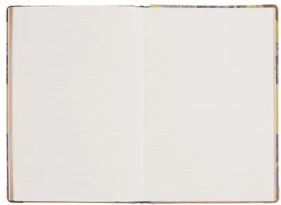 Книга для записей "Ван Гог. Ирисы" А5, твердая обложка - фото 10