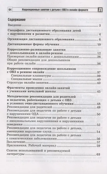 Коррекционные занятия с детьми с ОВЗ в онлайн-формате. Организация и проведение - фото 2