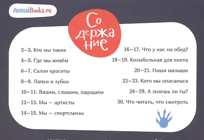 Я енот - фото 2