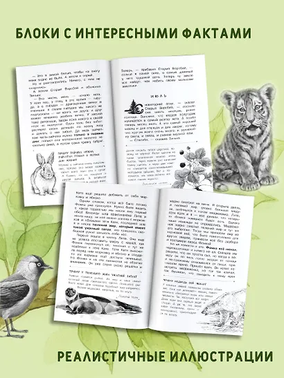 Хрестоматия для дошкольников - фото 5