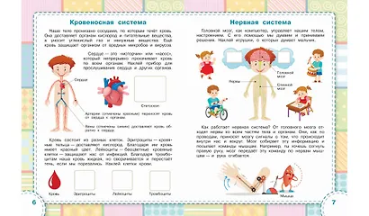 Тело человека. Книжка с многоразовыми наклейкми - фото 4