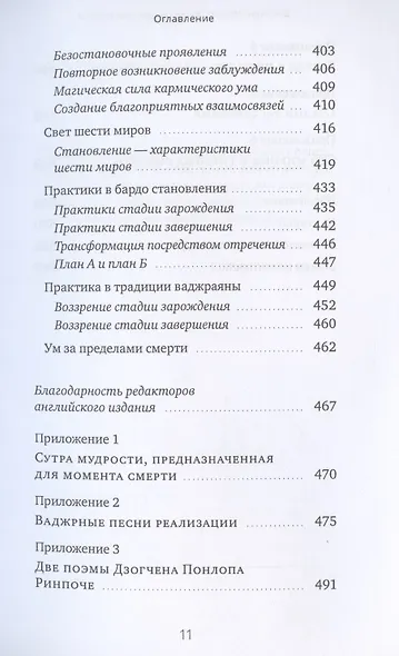 Ум за пределами смерти - фото 8