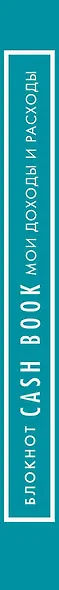 Блокнот «CashBook. Мои доходы и расходы», 88 листов, бирюзовый - фото 5