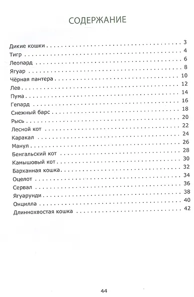 Знакомьтесь: дикие кошки - фото 2