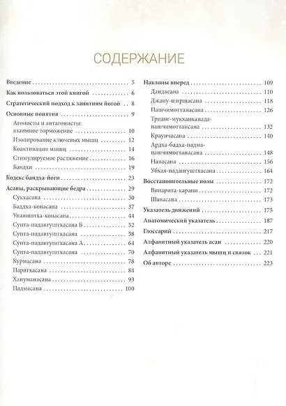 Анатомия асан, раскрывающих бедра, и наклонов вперед - фото 2