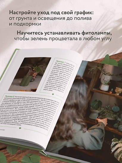 Эстетика живого интерьера. Как создать стильное пространство с помощью комнатных растений - фото 6