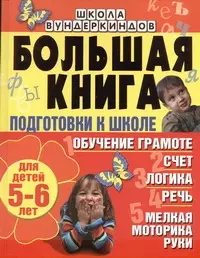 Большая книга подготовки к школе для детей 5-6 лет. Обучение грамоте счет логи - фото 1