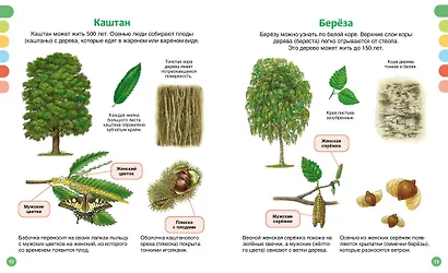 Жизнь леса - фото 14
