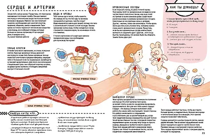 Книга с секретами. Секреты тела человека - фото 4