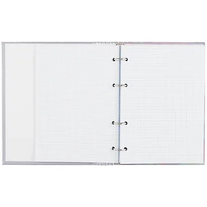 Тетрадь на кольцах в клетку BG, Holographic, 160 листов, в ассортименте - фото 2