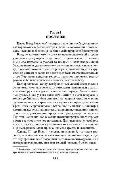 Приключения капитана Блада - фото 13