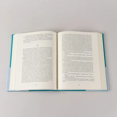 Идиот - фото 14