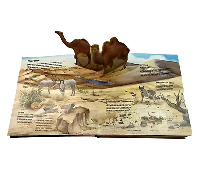 Животные. Большая наглядная 3D-энциклопедия - фото 9