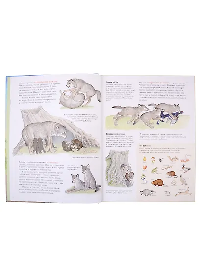 Следы - фото 4