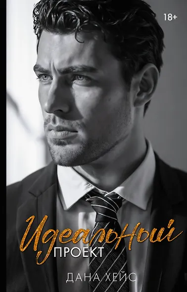 Идеальный проект - фото 1