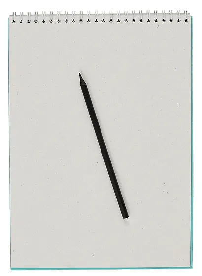 Скетчбук А4 40л "Енот-полоскун" белый офсет, 80г/м2, тв.обложка, спираль - фото 3