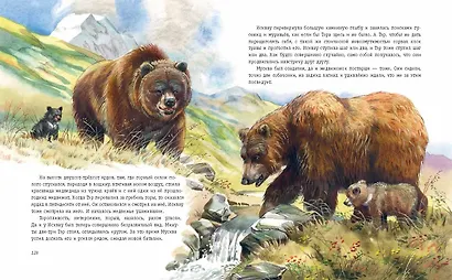 Гризли (ил. В. Канивца) - фото 8