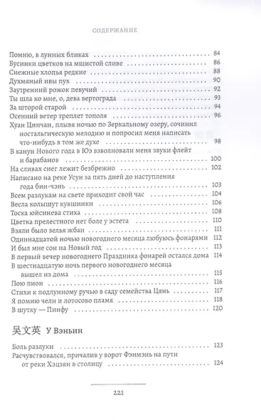 Стихи тишины. Лирика иносказаний - фото 4