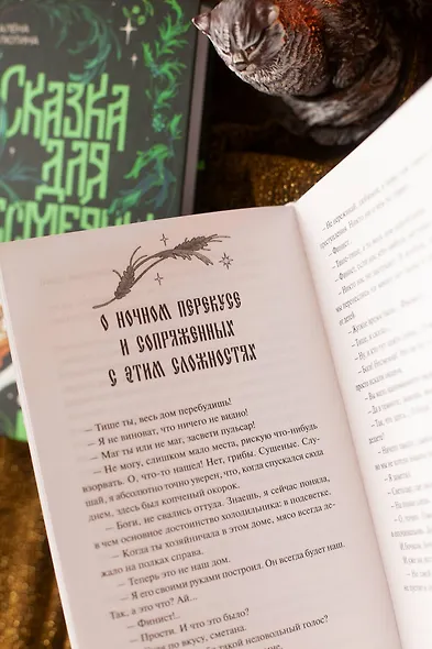 Сказка для Несмеяны - фото 13