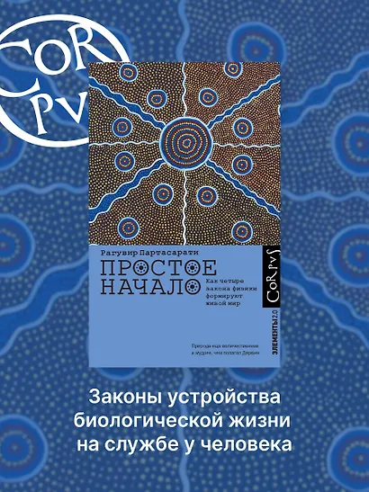 Простое начало - фото 3