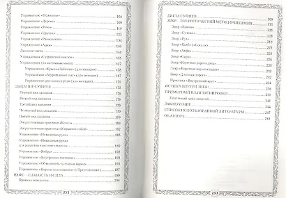Очищение. Суфийская энергетическая практика - фото 3