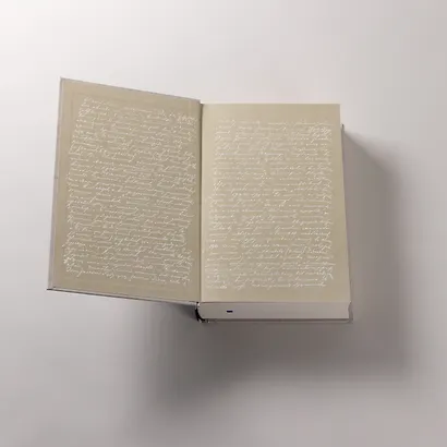 Письма к жене: Невидимая сторона гения - фото 7