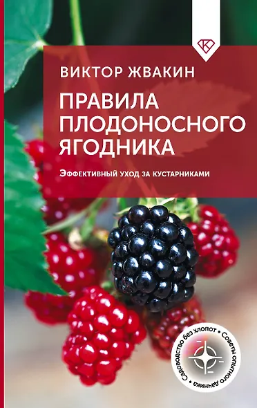 Правила плодоносного ягодника. Эффективный уход за кустарниками - фото 1
