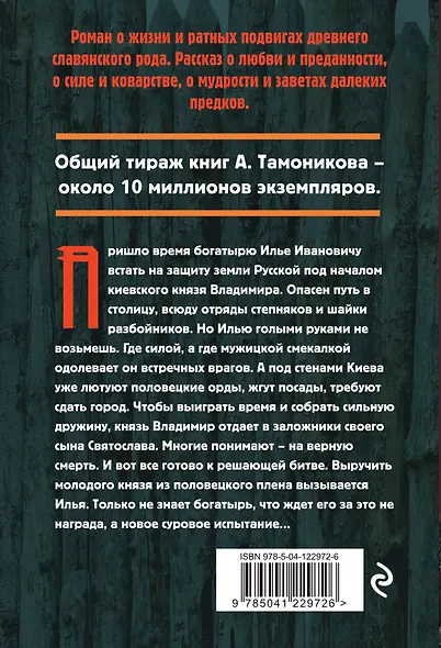 Северный витязь - фото 2