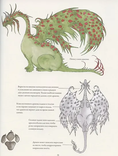 Северные драконы и искусство их обнаружения - фото 5