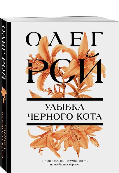 Улыбка черного кота - фото 3