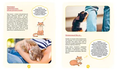 Я и моя кошка. Как понять питомца и стать ему другом - фото 12