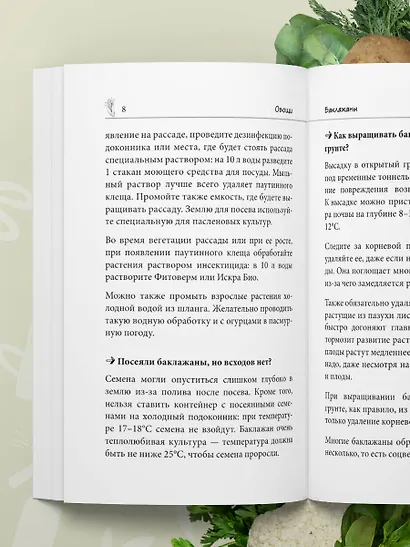 Дачные секреты Октябрины Ганичкиной. Самые полезные советы для садоводов и огородников - фото 12