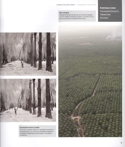 Лови момент! Как найти "изюминку" в любом сюжете и превратить его в захватывающую фотографию, выбирая правильный момент для съемки - фото 5