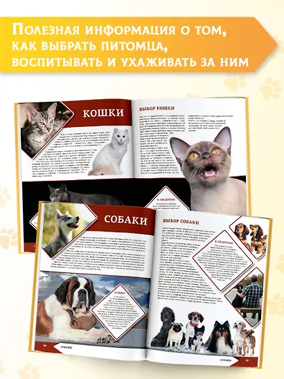 Большая энциклопедия о кошках и собаках - фото 5