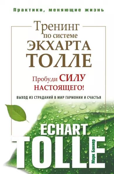 Тренинг по системе Экхарта Толле: пробуди силу настоящего! Выход из страданий в мир гармонии и счастья - фото 1