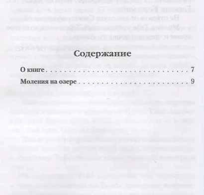 Моления на озере (Велимирович) (Новое Небо) - фото 2