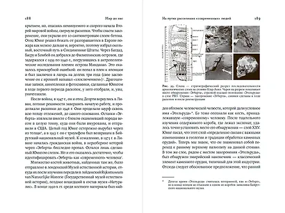 Мир до нас: Новый взгляд на происхождение человека - фото 8