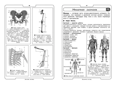 Биология - фото 7