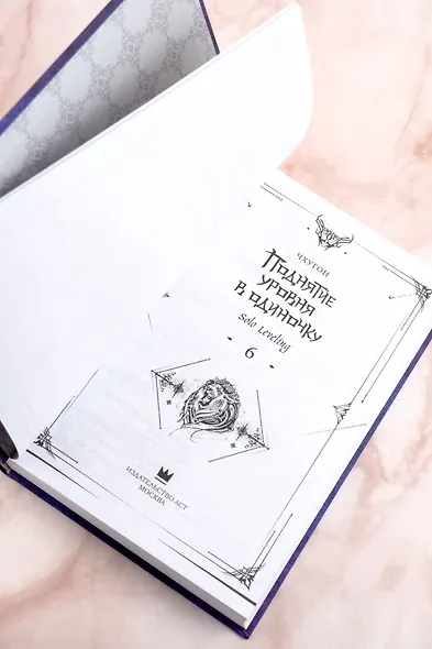 Поднятие уровня в одиночку. Книга 6 (Solo Leveling). Новелла - фото 9