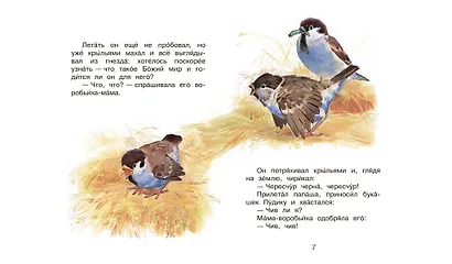 Воробьишко. Сказка - фото 4