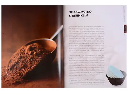 Золотая книга шоколада - фото 3
