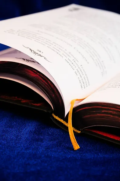 Дракула - фото 14